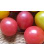 Tomato 'Garden Pearl' Seeds (Certified Organic)