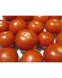 Tomato 'Tomcat F2' Seeds (Certified Organic)