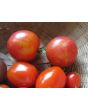 Tomato 'Bicolor Cherry'