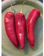 Hot Banana Pepper 'Hungarian Yellow Wax' Seeds