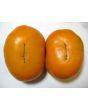Tomato 'Orange'
