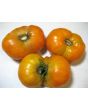 Tomato 'Orange'