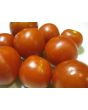 Tomato 'Bloody Butcher'