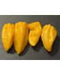 Hot Pepper 'Aji Lemon x Reaper' Seeds (Certified Organic)