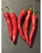 Hot Pepper 'Aci Sivri Biber Cross' Seeds