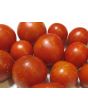 Tomato 'Tigerella' Seeds (Certified Organic)