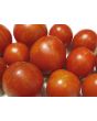 Tomato 'Tigerella' Seeds (Certified Organic)