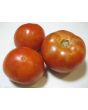 Tomato 'Red Brandywine, Potato Leaf' 