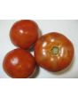Tomato 'Red Brandywine, Potato Leaf' 
