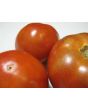 Tomato 'Red Brandywine, Potato Leaf' 