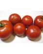 Tomato 'Break O' Day'