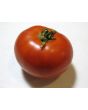 Tomato 'Break O' Day'