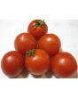 Tomato 'High Carotene'