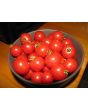 Tomato 'Tiny Tim'