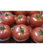 Tomato 'Porter's Pride'
