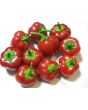 Sweet Pepper ‘Mini Red Bell’ Seeds (Certified Organic)