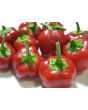 Sweet Pepper ‘Mini Red Bell’ Seeds (Certified Organic)