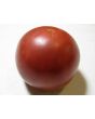 Tomato 'Pink Lady'