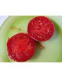 Tomato 'Pink Lady'