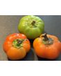 Sweet Pepper 'Pritamin Paprika' Seeds
