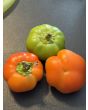 Sweet Pepper 'Pritamin Paprika' Seeds