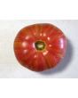 Tomato 'Vintage Wine'
