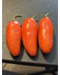 Hot Pepper ‘Orange Spice Jalapeno’ Seeds