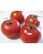 Tomato 'Bola Macizo' Seeds (Certified Organic)
