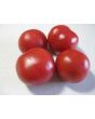 Tomato 'Bola Macizo' Seeds (Certified Organic)