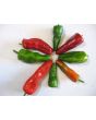 Hot Pepper ‘Pimiento de Padron’ Seeds (Certified Organic)