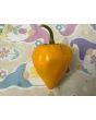 Hot Pepper 'Hinkelhatz Chicken Heart Yellow' Seeds (Certified Organic)