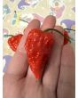 Hot Pepper ‘Zing’ Seeds (Certified Organic)