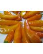Sweet Pepper ‘Tequila Sunrise' Seeds (Certified Organic)