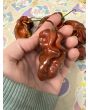 Hot Pepper 'Contorted Coco' Seeds (Certified Organic)
