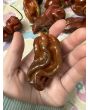 Hot Pepper 'Contorted Coco' Seeds (Certified Organic)