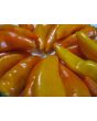 Sweet Pepper ‘Tequila Sunrise' Seeds (Certified Organic)
