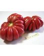 Tomato 'Pink Accordion'