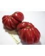 Tomato 'Pink Accordion'