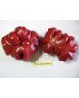 Tomato 'Pink Accordion'