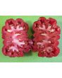 Tomato 'Pink Accordion'
