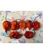 Hot Pepper 'Purple Reaper' Seeds (Certified Organic)