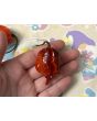 Hot Pepper 'Purple Reaper' Seeds (Certified Organic)