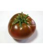 Tomato 'Cherokee Chocolate'
