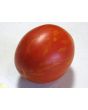 Tomato 'Plum Tigris'
