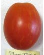 Tomato 'Plum Tigris'