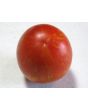 Tomato 'Plum Tigris'