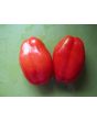 Tomato 'Scatalone 2'