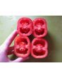 Tomato 'Scatalone 2'