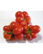 Tomato 'Reisetomate' Seeds (Certified Organic) 