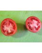 Tomato 'Plum Tigris'